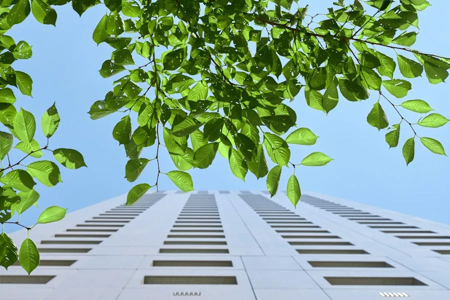 Photo business sustainability concepts